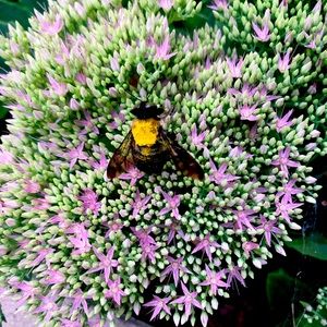 Meet your Posher, Ali